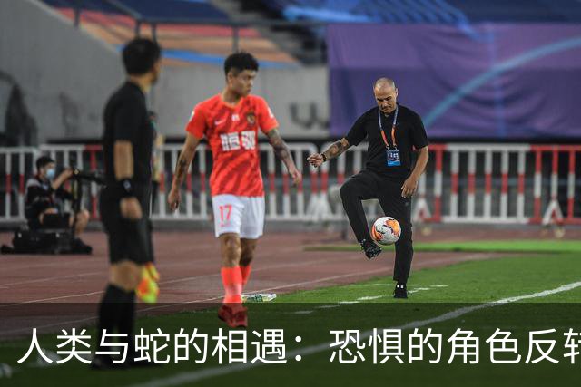 人类与蛇的相遇：恐惧的角色反转